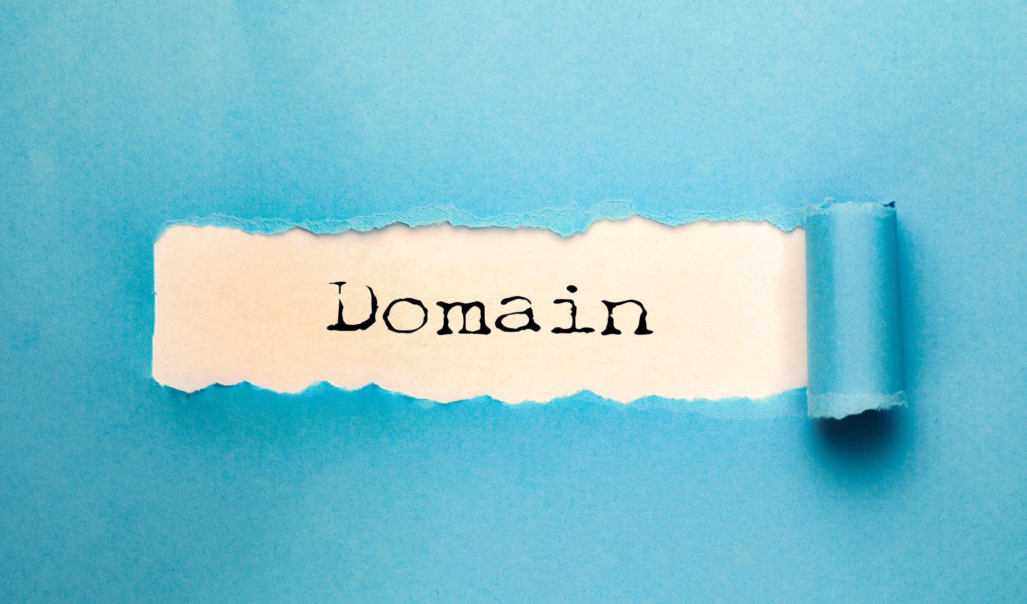 What Is a Custom Domain? Do You Need One?